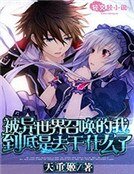 《被异世界召唤的我到底是去干什么了》