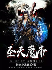 《圣天魔帝》