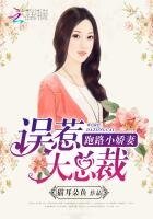 误惹大总裁：跑路小娇妻