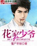 花家少爷
