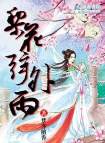梨花弦外雨