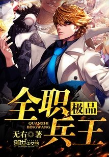 《极品全职兵王》