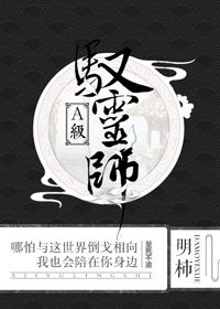 《A级驭灵师》