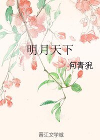 明月天下