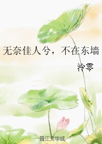 无奈佳人兮,不在东墙