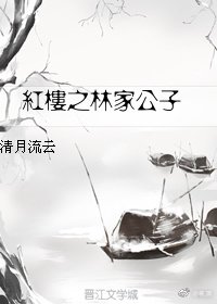 （红楼同人）红楼之林家公子