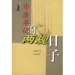 市委书记的两规日子