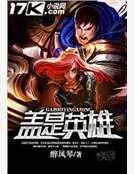 盖是英雄
