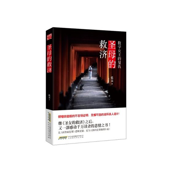 圣母的救济：数学女王的复仇（出书版）