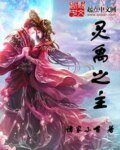 《灵禹之主》
