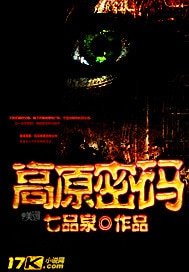 《高原密码》