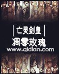 《亡灵剑皇》