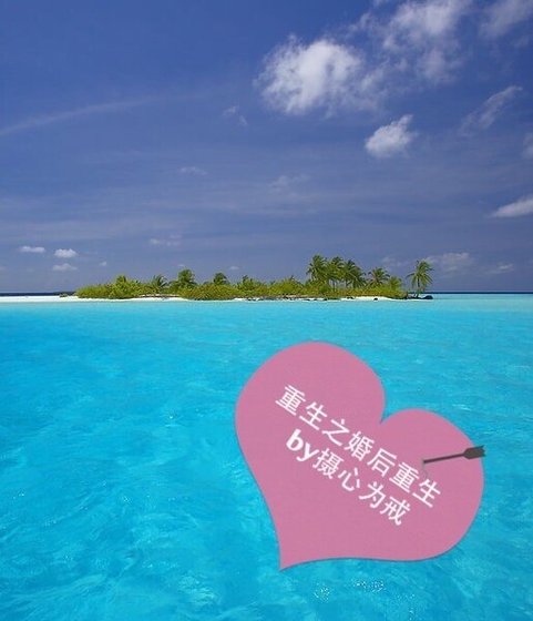 重生之婚后重生