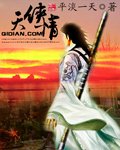 天侠情