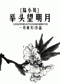 （陆小凤同人）举头望明月