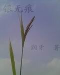 《银无痕》