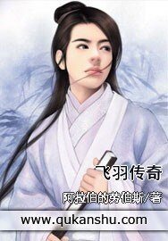 飞羽传奇