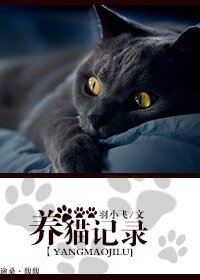 养猫记录