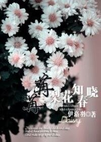 《(网游)苒苒梨花知春晓》