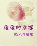 傻傻的幸福/傻瓜，我等你长大