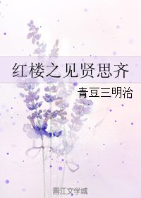 《(红楼同人)红楼之见贤思齐》
