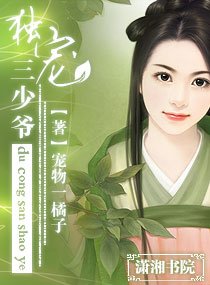 独宠三少爷