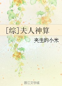 （综同人）[综]夫人神算