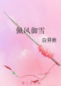 《佩风御雪》