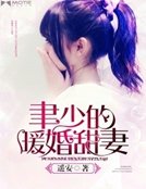 《聿少的暖婚甜妻》