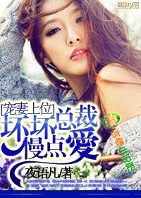 宠妻上位，坏坏总裁慢点爱