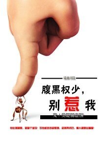 腹黑权少，别惹我