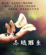 《如果冬眠醒来》