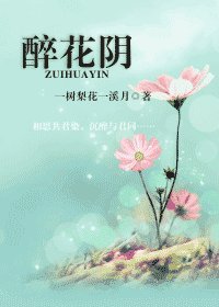《醉花阴》