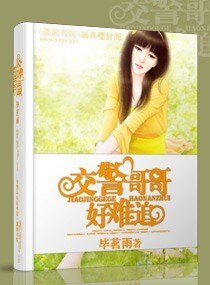 《交警哥哥好难追》