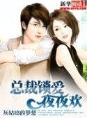 总裁锁爱夜夜欢
