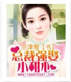 总裁强娶小甜心