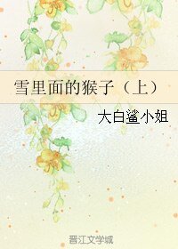 雪里面的猴子（上）