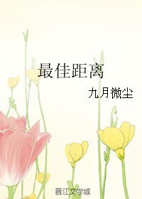 最佳距离