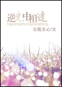 逆光中相逢