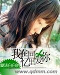 我在回忆里爱你