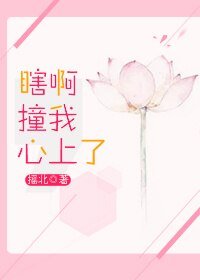 《瞎啊,撞我心上了》