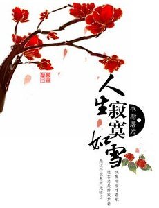 《人生寂寞如雪》