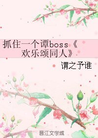 （欢乐颂同人）抓住一个谭boss