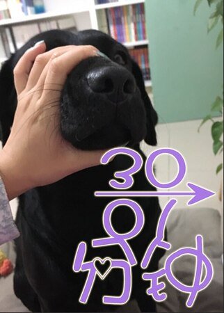 《30→01分钟》