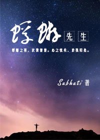 蜉蝣先生