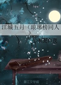 《(琅琊榜同人)江城五月》