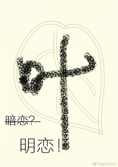 暗恋不如明恋