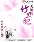 天地间竹兰记