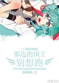 《(口袋妖怪BW同人)那边的国王别想跑! 》