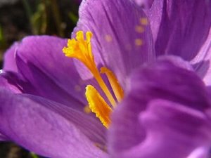 《(秦时明月同人)山中人兮芳杜若》